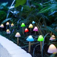   LED-es szolár lámpa - 12 db mini gomba - színes - 28,5 cm x 4 cm                                      BX11243B