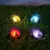 Leszúrható LED szolár - katica - színes - fekete - műanyag - 9 x 9 x 8,5 cm                           BX11732C
