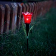   LED-es szolár tulipánlámpa - sárga / piros / rózsaszín - 31 cm - 12 db / kínáló                       BX11750