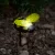 Leszúrható szolár lámpa - méhecske - 8 x 7,5 x 14,5 cm - Fehér LED                                    BX11752
