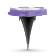   LED-es leszúrható szolár lámpa - lila - hidegfehér - 11,5 x 2,3 cm                                    BX11767C