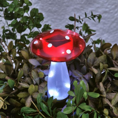 Leszúrható szolár gomba - 23,5 cm - 10 hidegfehér LED                                                 BX11775