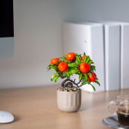   Műnövény dekoráció - déli gyümölcs - 18 x 18 cm - 3 féle                                              BX11884