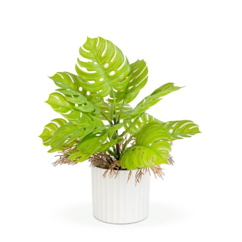Műnövény dekoráció - monstera - 22 x 8,5 cm                                                           BX11888