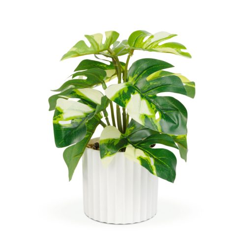 Műnövény dekoráció - filodendron - zöld/sárga - 20 x 8 cm                                             BX11892B