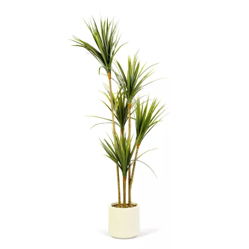 Műnövény dekoráció - pálma - zöld - 1,5 m                                                             BX11904