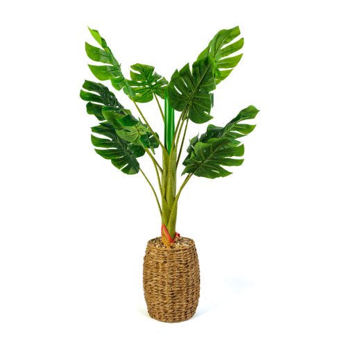Műnövény dekoráció - filodendron - 1 m                                                                BX11907