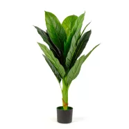   Műnövény dekoráció - colocasia - 100 cm                                                               BX11911