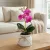 Műnövény dekoráció - orchidea - 3 féle - 32,5 cm                                                      BX11915