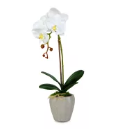   Műnövény dekoráció - orchidea - 3 féle - 45 cm                                                        BX11916