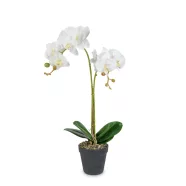   Műnövény dekoráció - orchidea - 2 féle - 54 cm                                                        BX11918