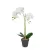 Műnövény dekoráció - orchidea - 2 féle - 54 cm                                                        BX11918