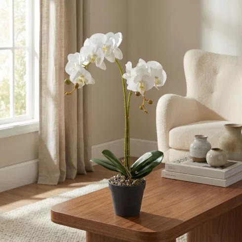 Műnövény dekoráció - orchidea - 2 féle - 54 cm                                                        BX11918