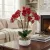 Műnövény dekoráció - orchidea - 5 féle - 56 cm                                                        BX11919