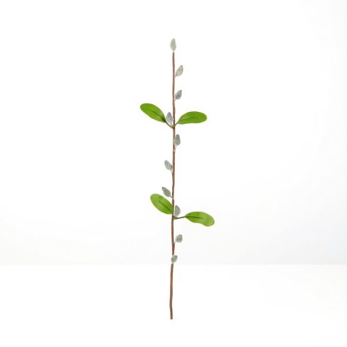 Barkaág - szálas - 58 cm                                                                              BX57935C