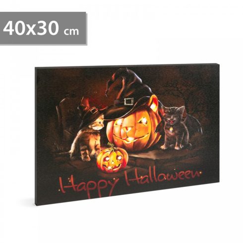 Halloween-i LED-es hangulatkép - fali akasztóval, 2 x AA, 40 x 30 cm                                  BX58400