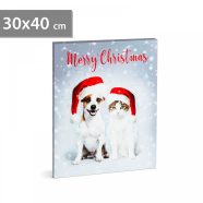   Karácsonyi LED-es hangulatkép - fali akasztóval, 2 x AA, 30 x 40 cm                                   BX58452