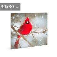   LED-es fali kép - vörös pinty - 30 x 30 cm                                                            BX58478