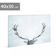   LED-es fali hangulatkép - rénszarvas -  2 x AA, 40 x 30 cm                                            BX58481A