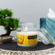   Illatgyertya - csupor fedővel - Ylang Ylang - 310 g                                                   BX58805A