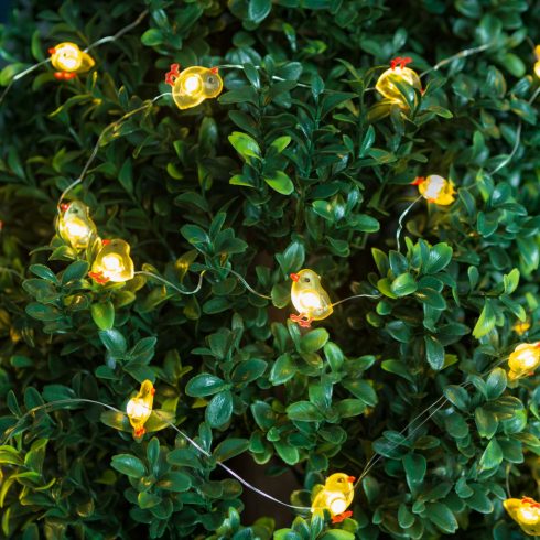 LED fényfüzér - csibe - 2 m - 20 LED - 2 x AA                                                         BX58923A