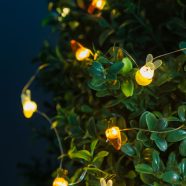   LED fényfüzér - nyuszi és répa - 2 m - 20 LED - 2 x AA                                                BX58923B