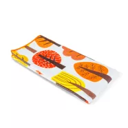   Mikroszálas törlőkendő - 2 féle - 58 x 38 cm                                                          BX59008