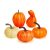 Őszi dekoráció - tök - 6 féle - műanyag                                                               BX59013