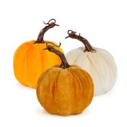   Őszi dekoráció - tök - 3 féle - 11 x 13 cm                                                            BX59030