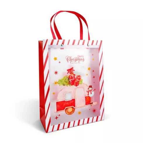 Karácsonyi ajándéktáska - 32 x 25 x 11 cm - 2 féle                                                    BX59726