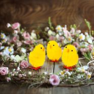   Húsvéti dekoráció - csibe szett - sárga - 6,7 x 5 cm - 3 db / csomag                                  BXCMK-7893