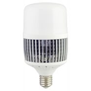   LED csarnokvilágító, E40, 55W, T140 5300lm, 4000K                                                     CA01CEL038B