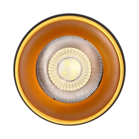 Felületre szerelhető led mennyezeti lámpa, kerek, aluminium, GU10, IP20, fekete-arany                 CA6521B