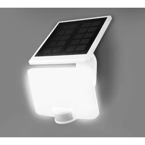 LED napelemes reflektor, mozgásérzékelővel, 8W, 800lm, 4000K, IP54, fehér                             CM309-101