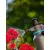GARDENA Nyomáspermetező display(24db), 1,25L tartály, 3bar nyomás, biztonsági szeleppel, 360°funkció  GE11120-90