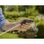 GARDENA EasyPump nyomáspermetező beépített akkumulátorral, 5 liter, USB kábellel                      GE11136-20