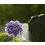 GARDENA EasyPump nyomáspermetező beépített akkumulátorral, 5 liter, USB kábellel                      GE11136-20