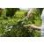 GARDENA Sövénynyíró olló NatureCut                                                                    GE12300-20