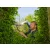 GARDENA NatureCut sövénynyíró FSC 100% (GE12300-20) + metszőolló (GE8754-20), display(12db)           GE12300-90