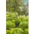 GARDENA MD hosszabbítócső permetezőfúvókákhoz, 13 mm (1/2''), hosszabbításra, (5db)                   GE13326-20