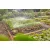 GARDENA MD mikrocsepegtetős, permetező öntöző készlet növényágyásokhoz, virágszegélyekhez - 60 m2     GE13450-20
