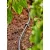GARDENA MD elosztócső 4,6 mm(3/16), 15 m, csepegtetőhöz és permetező fúvókához                        GE1350-20
