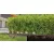GARDENA MD csepegtető cső készlet növénysorokhoz, süllyeszthető, 13mm, 50m                            GE13501-20