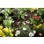 GARDENA Föld feletti csepegtetőcső 4,6 mm (3/16')                                                     GE1362-20
