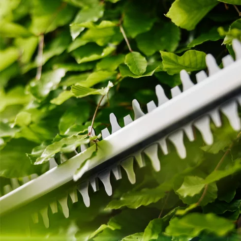 EasyCut sövénynyíró 55, 18V P4A akkumulátorral, kés hossza 55cm, késnyílás 17mm, max.55perc/180m2     GE14735-20