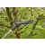 GARDENA HighCut 360/18V P4A teleszkópos akkumulátoros ágvágó olló akkumulátor nélkül                  GE14776-55