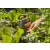 GARDENA Classic Négyszögesőztető AquaZoom compact                                                     GE18708-20