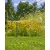GARDENA Süllyesztett esőztető MD40/300                                                                GE8239-20