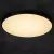 SMART PLAFON 20W CCTDIM B LED mennyezeti lámpa, WIFI 2,4 GHz, 1920-2060 lm, 3000-6500 K, IP20, feket  KAN38610