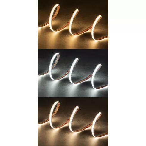 LCOB21W/M24IP00RGBCCT LED szalag, 5 m, 24 DC, 1 m = 11 W / 680 lm, RGB+3000-6100 K, IP00, G           KAN38915